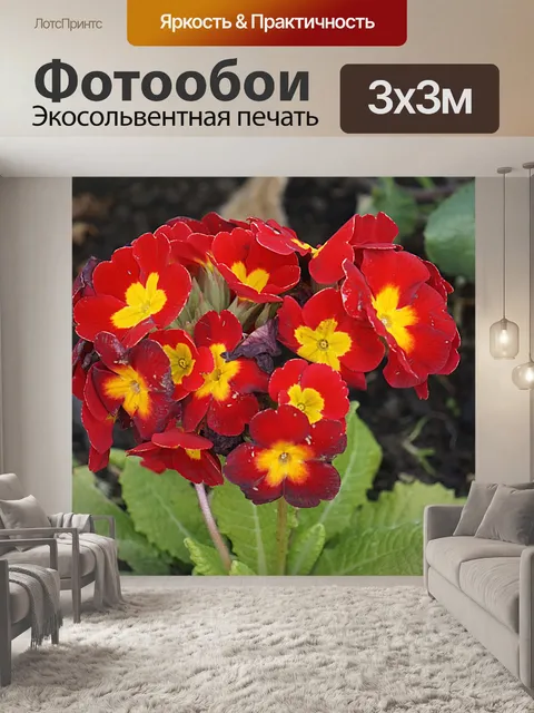 Фотообои Первоцветы