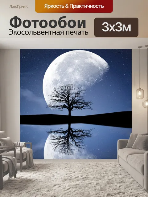 Фотообои Луна