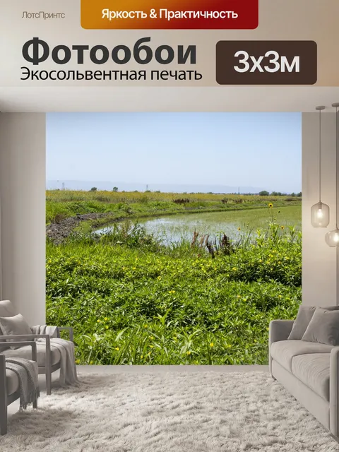 Фотообои заболоченный ландшафт