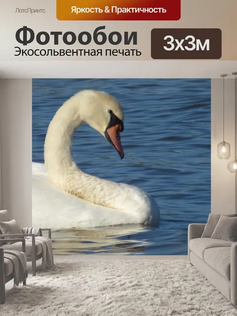 Фотообои Лебедь на озере