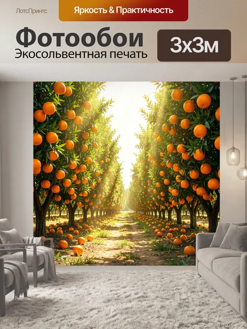 Фотообои Апельсиновая роща на рассвете
