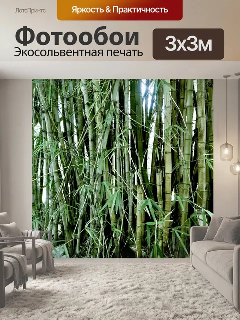 Фотообои Деревья и листья 14