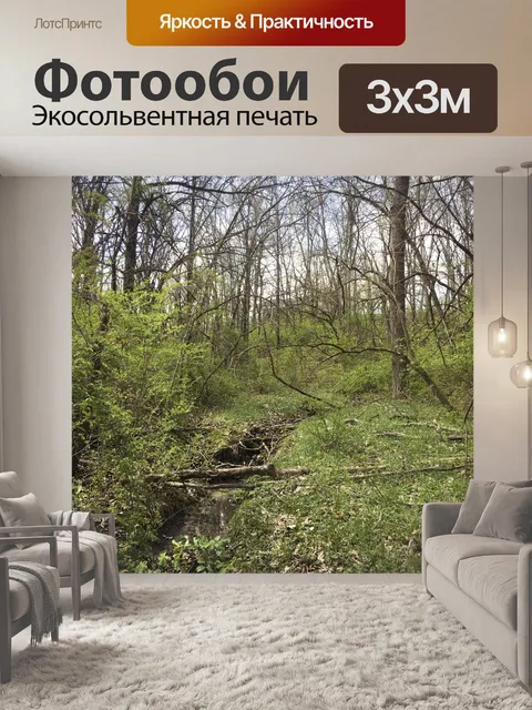 Фотообои Весенний лес