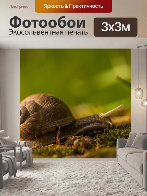 Фотообои Улитка