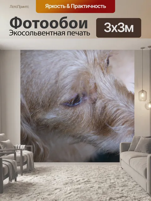 Фотообои Талисман