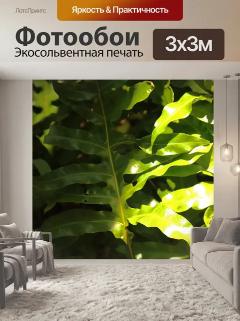Фотообои солнечный свет на листе папоротника