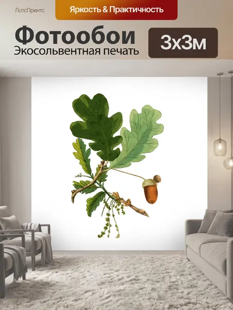 Фотообои Дубовый лист и Желудь