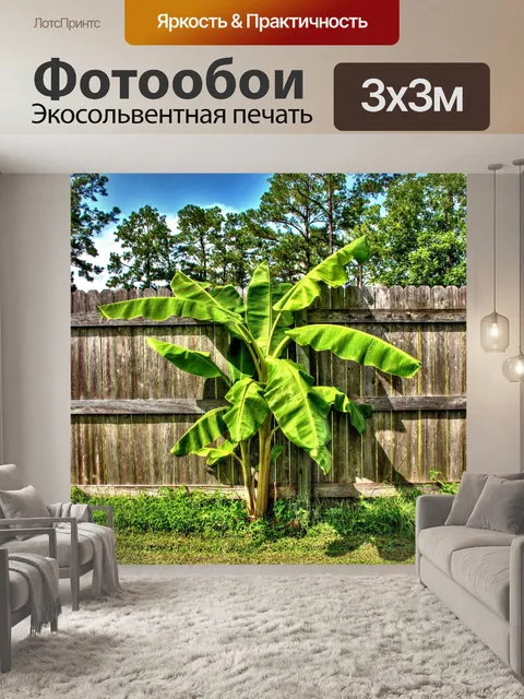 Фотообои HDR-банановое дерево