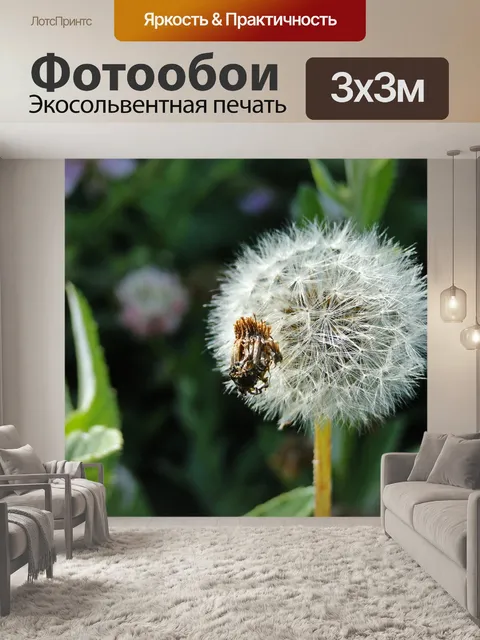 Фотообои Одуванчик
