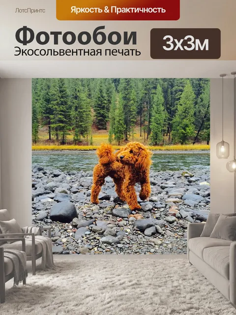 Фотообои Щенок
