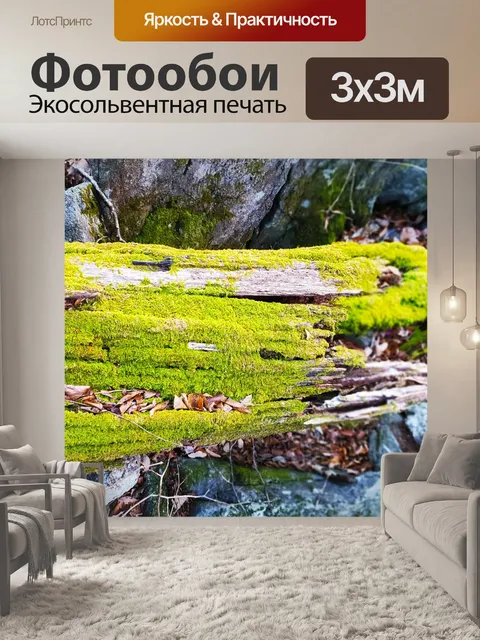Фотообои Дерево