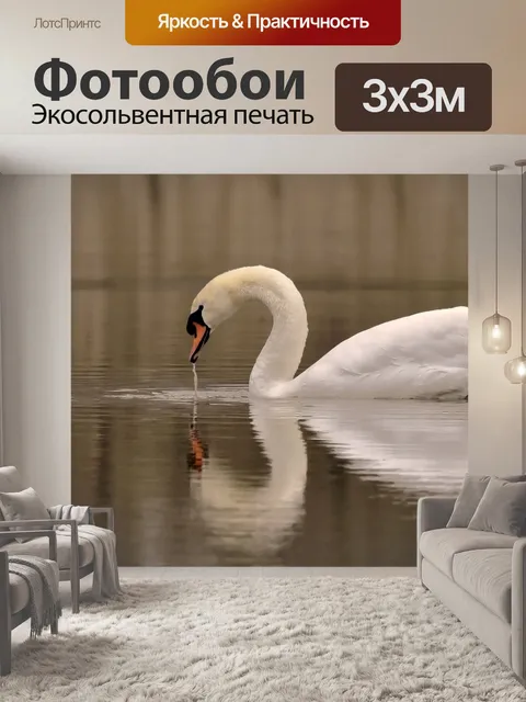 Фотообои лебедь
