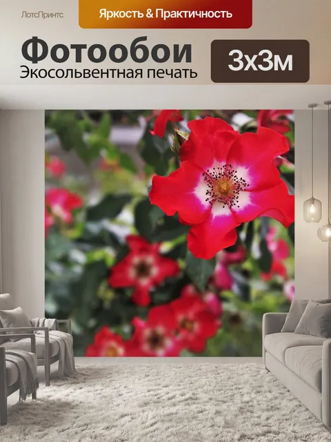 Фотообои Розы