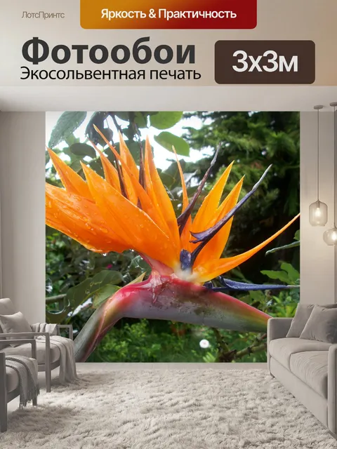 Фотообои Райская птица