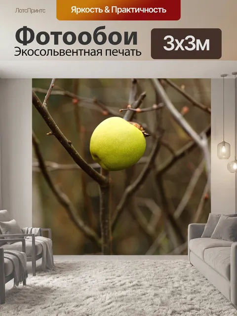 Фотообои Яблоко