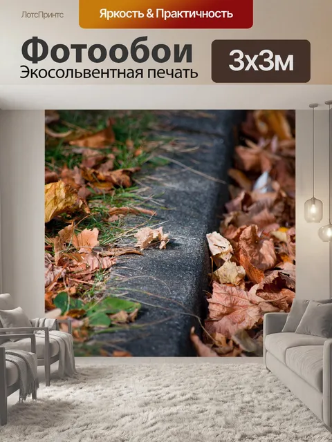 Фотообои Бордюр