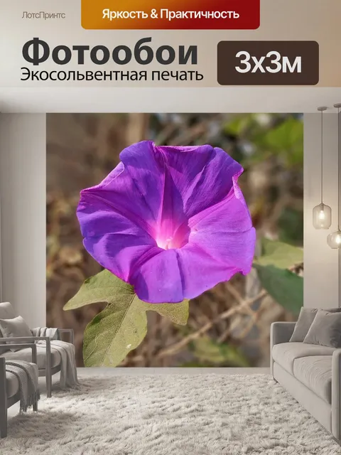 Фотообои Джунгли