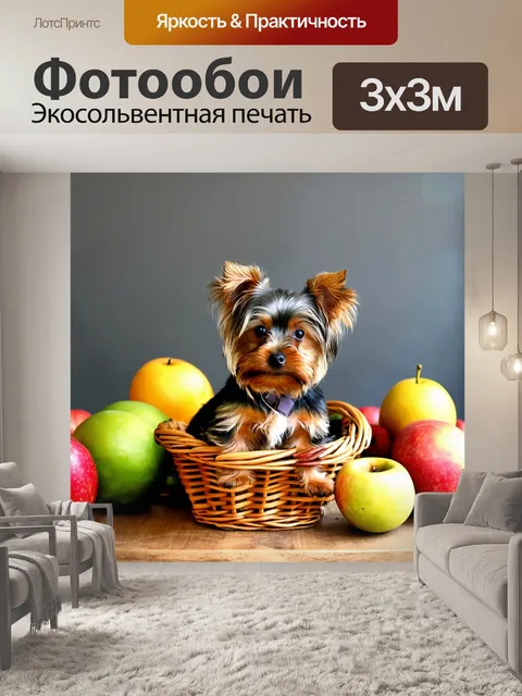Фотообои йоркширский терьер, сидящий в корзине, окруженный свежими фруктами на деревенском столе