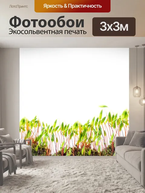 Фотообои Зеленый мох фон