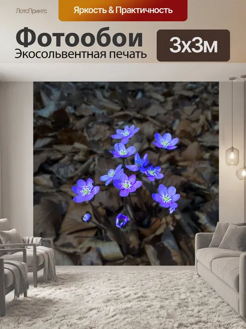 Фотообои Печеночник