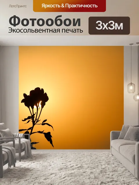 Фотообои Черная роза