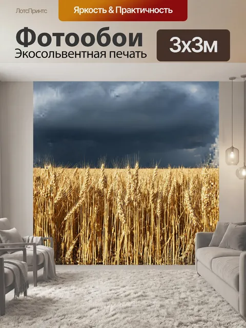 Фотообои золотое пшеничное поле на фоне грозового неба