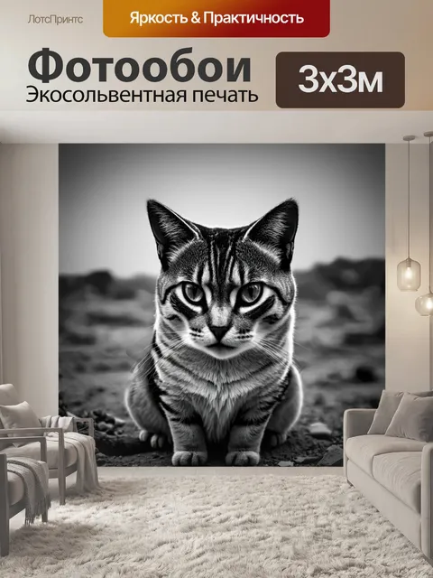 Фотообои египет в стиле нуар: грустные глаза кошки, сидящей среди пустоши