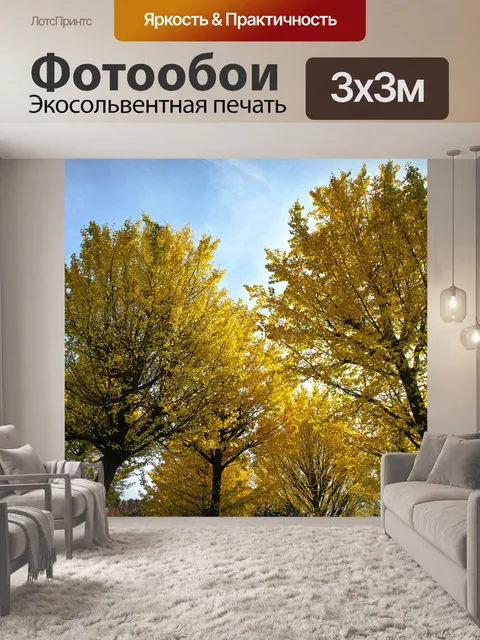 Фотообои Гинкго