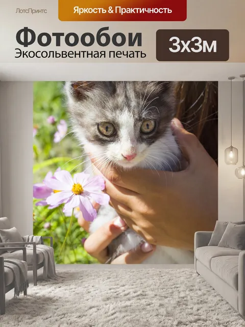 Фотообои Cat