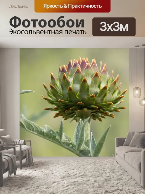 Фотообои Артишок