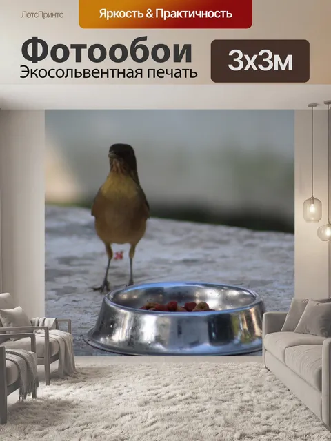 Фотообои Птицы