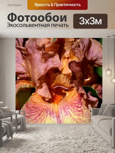 Фотообои Фиолетовый и золотой ирис крупным планом