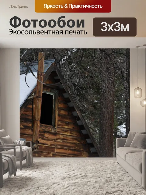 Фотообои Вид сверху зимовье