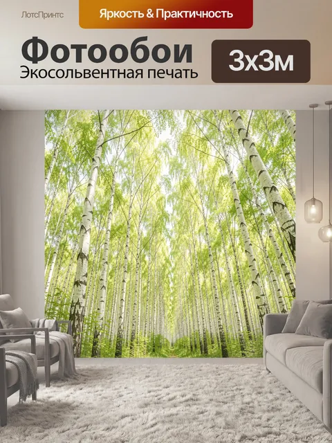 Фотообои Берёзовая роща летом