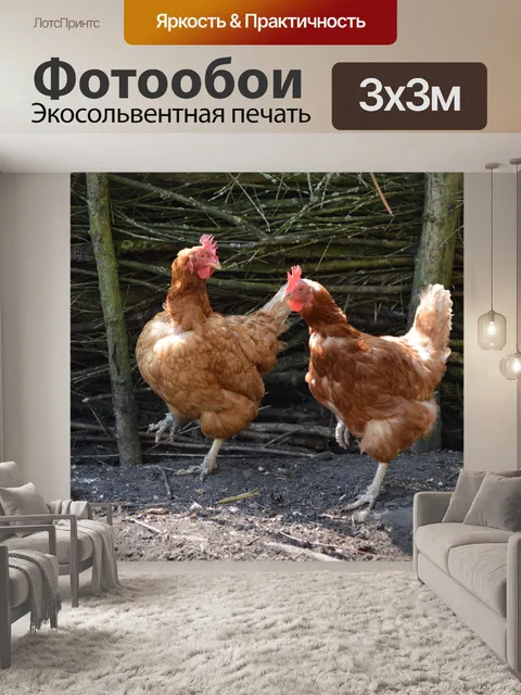 Фотообои Куриные танца 2