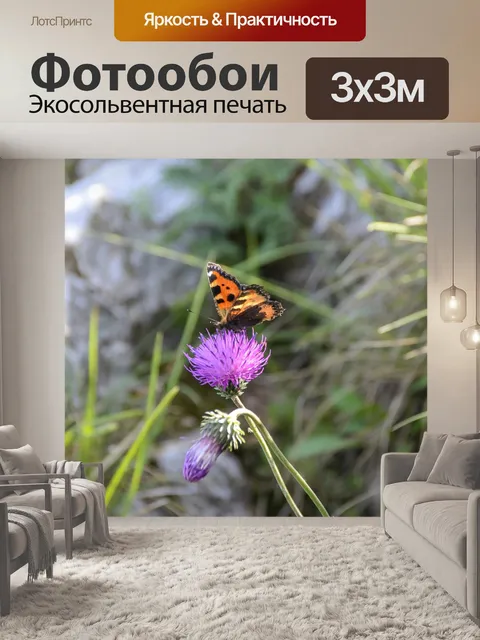 Фотообои Фея бабочка