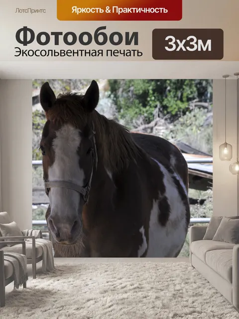 Фотообои Конный спорт