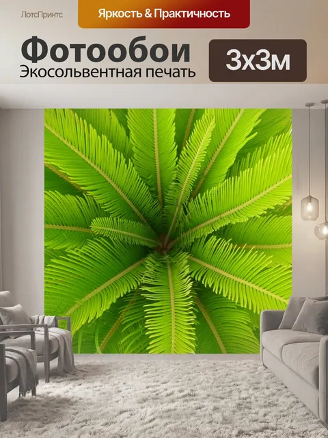 Фотообои Пальма