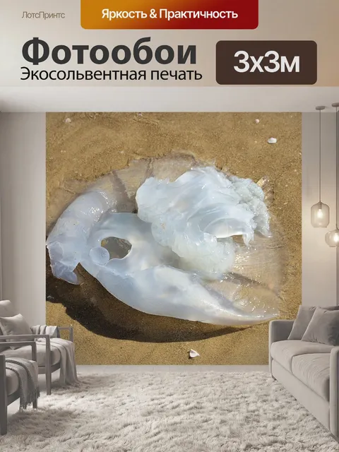 Фотообои Крупные медузы вымыты на пляже