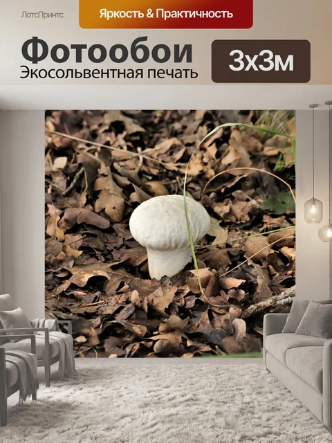 Фотообои Общие грибы Puffball в листьях