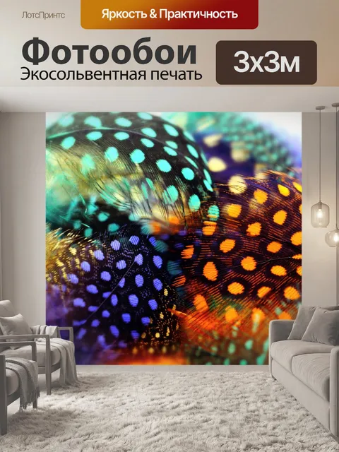 Фотообои Натюрморт фото перья очки