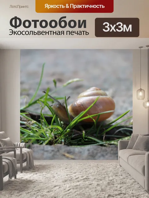 Фотообои Улитка
