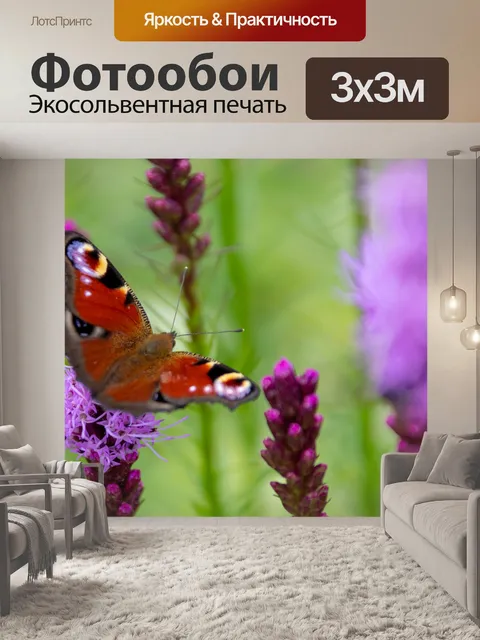 Фотообои Бабочка павлина