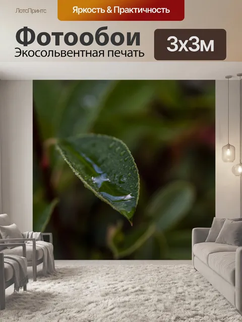 Фотообои Капли дождя на листьях