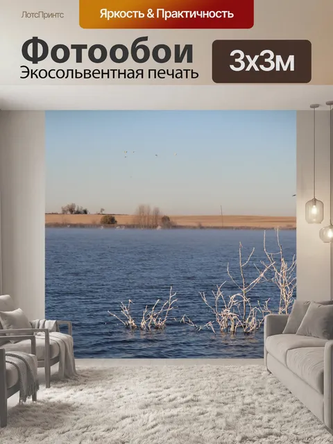 Фотообои Замерзшие деревья в воде
