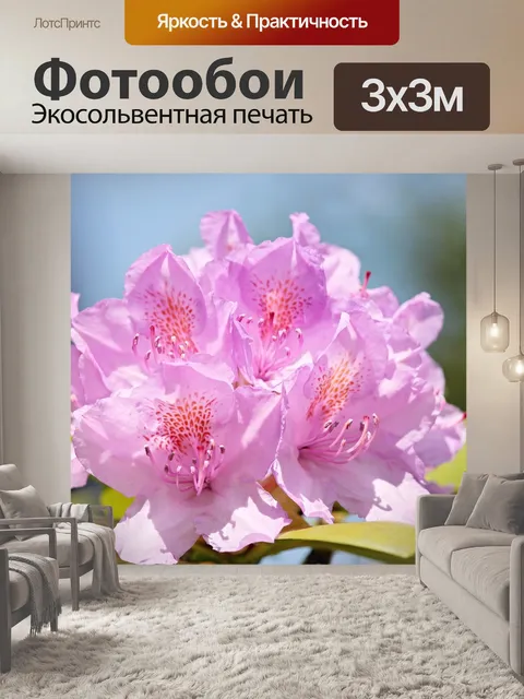 Фотообои Рододендрон