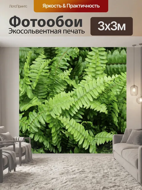 Фотообои Папоротник