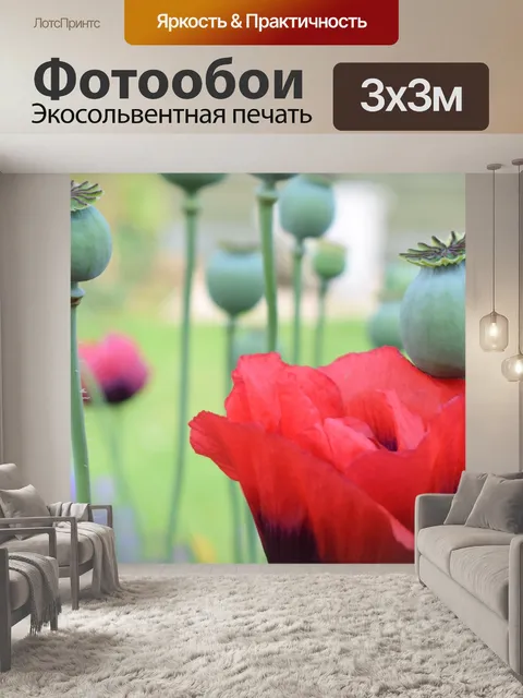 Фотообои Маки