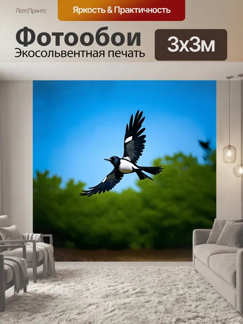 Фотообои сорока, расправив широкие черно-белые крылья, стремительно устремляется в синее небо