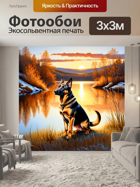 Фотообои описание: изобразите немецкую овчарку, охотящуюся в окрестностях озера на фоне заката